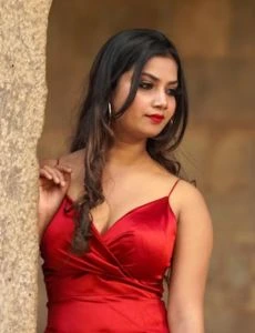 call girl service in Hanumannagar